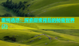 蜜桃诱惑：探索甜蜜背后的秘密世界(2)