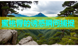 蜜桃臀的诱惑瞬间捕捉