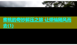 蜜桃的奇妙解压之旅 让烦恼随风而去(1)